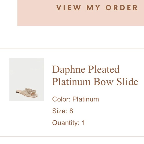 Platinum Loeffler Randall Slides - Picture 4 of 11